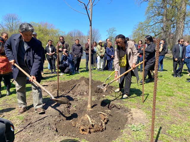 Friends and family of Christina Yuna Lee plant a memorial tree in Prospect Park in honor of Lee, who was slain inside her Chinatown apartment in February.